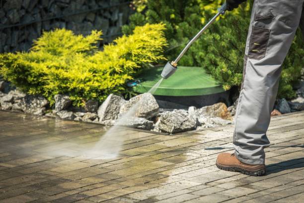 Best Solar Panel Cleaning  in Blue Point, NY