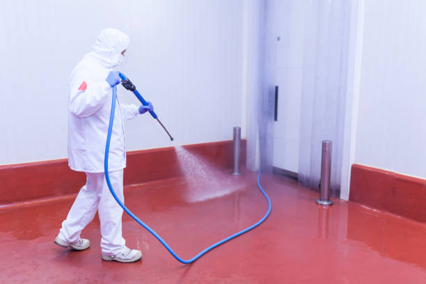 Animal Enclosure Cleaning in Blue Point, NY